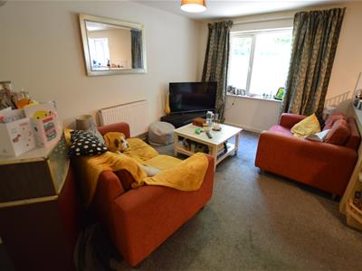 Picture 2